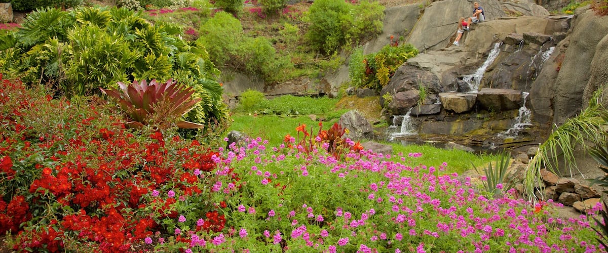Whangarei Quarry Gardens mostrando um parque e uma cachoeira