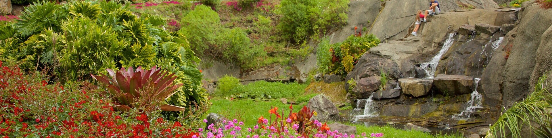 旺阿雷礦場花園 呈现出 花園 和 小瀑布