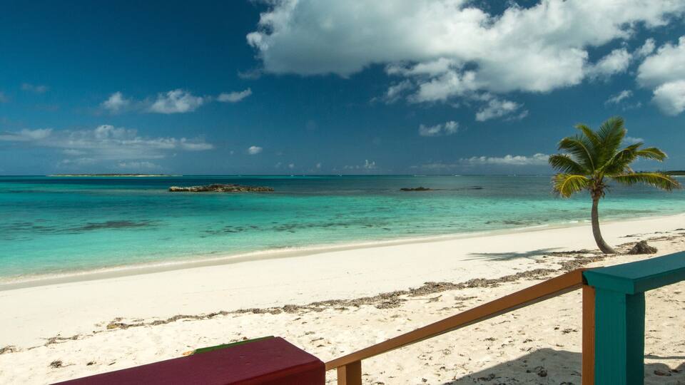 A beach with turquoise water, white sand, and a palm tree.