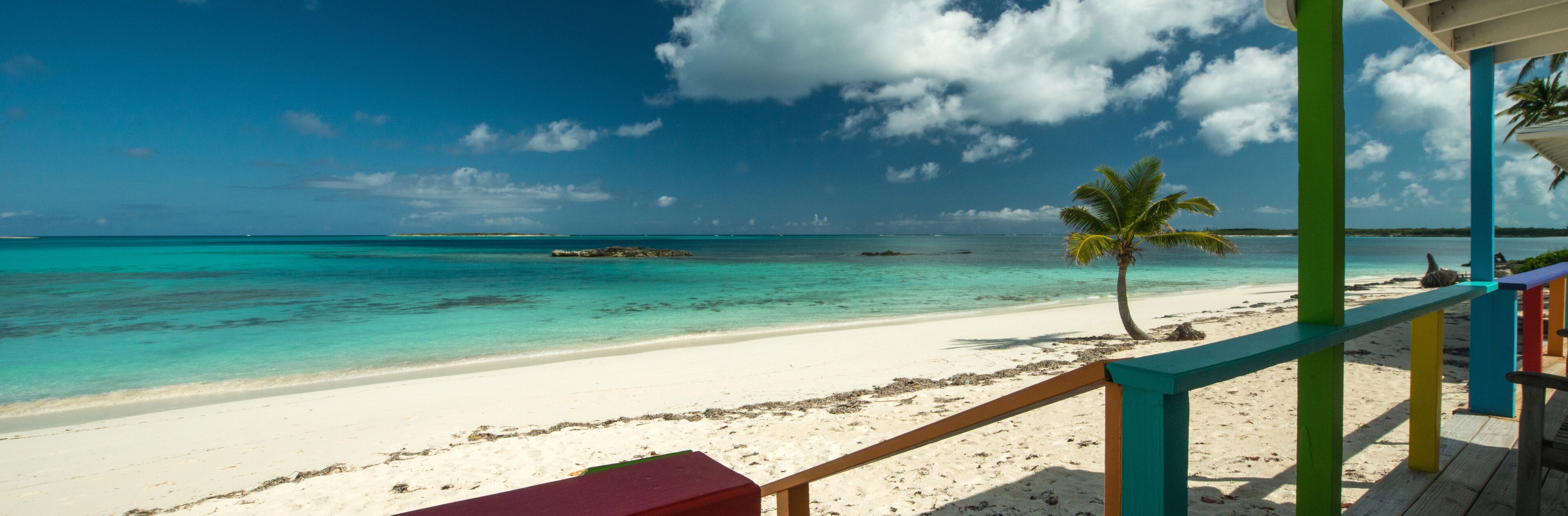A beach with turquoise water, white sand, and a palm tree.