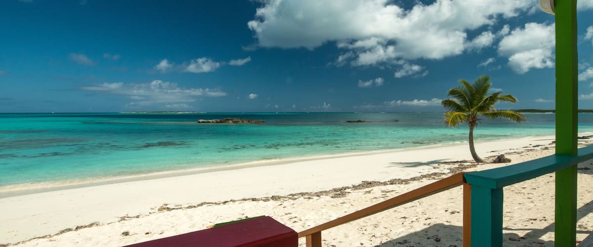 A beach with turquoise water, white sand, and a palm tree.