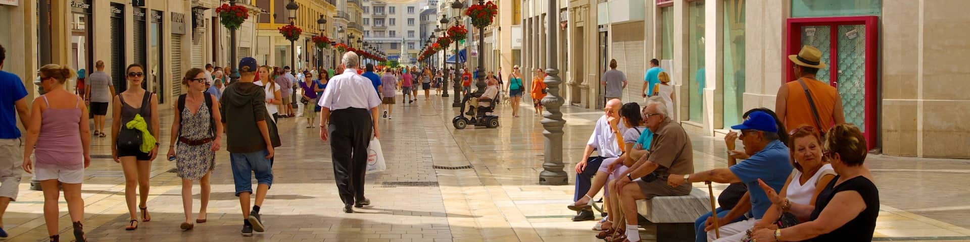 Malaga Historic Centre showing street scenes, heritage architecture and a city