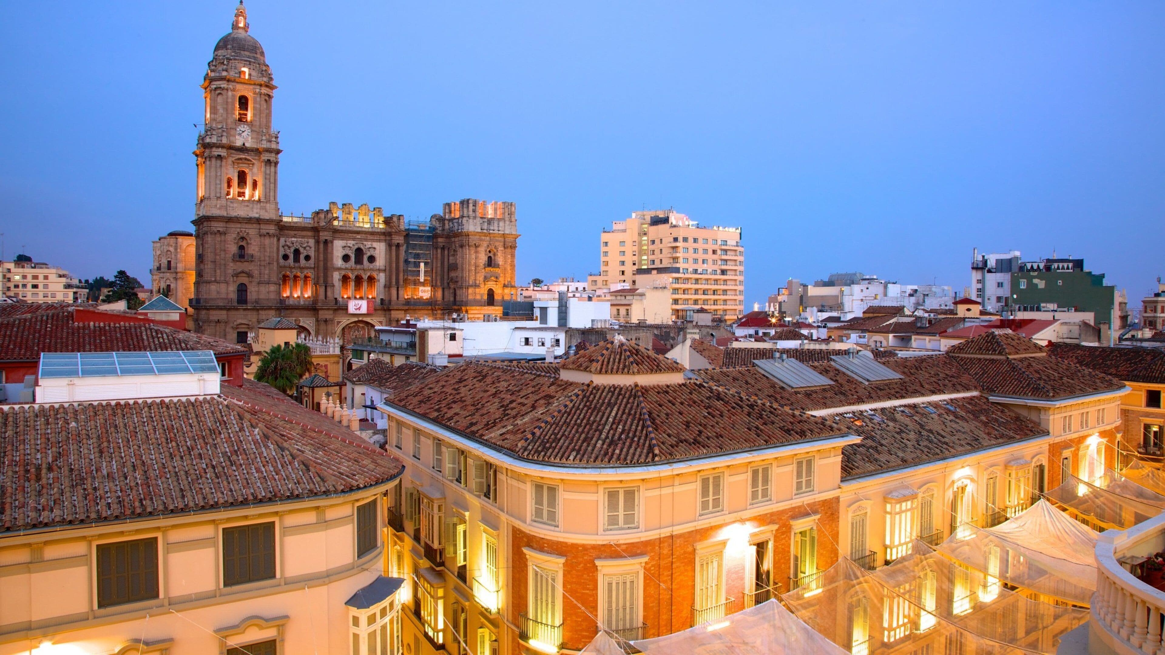 Malaga Historic Centre featuring heritage architecture, art and night scenes