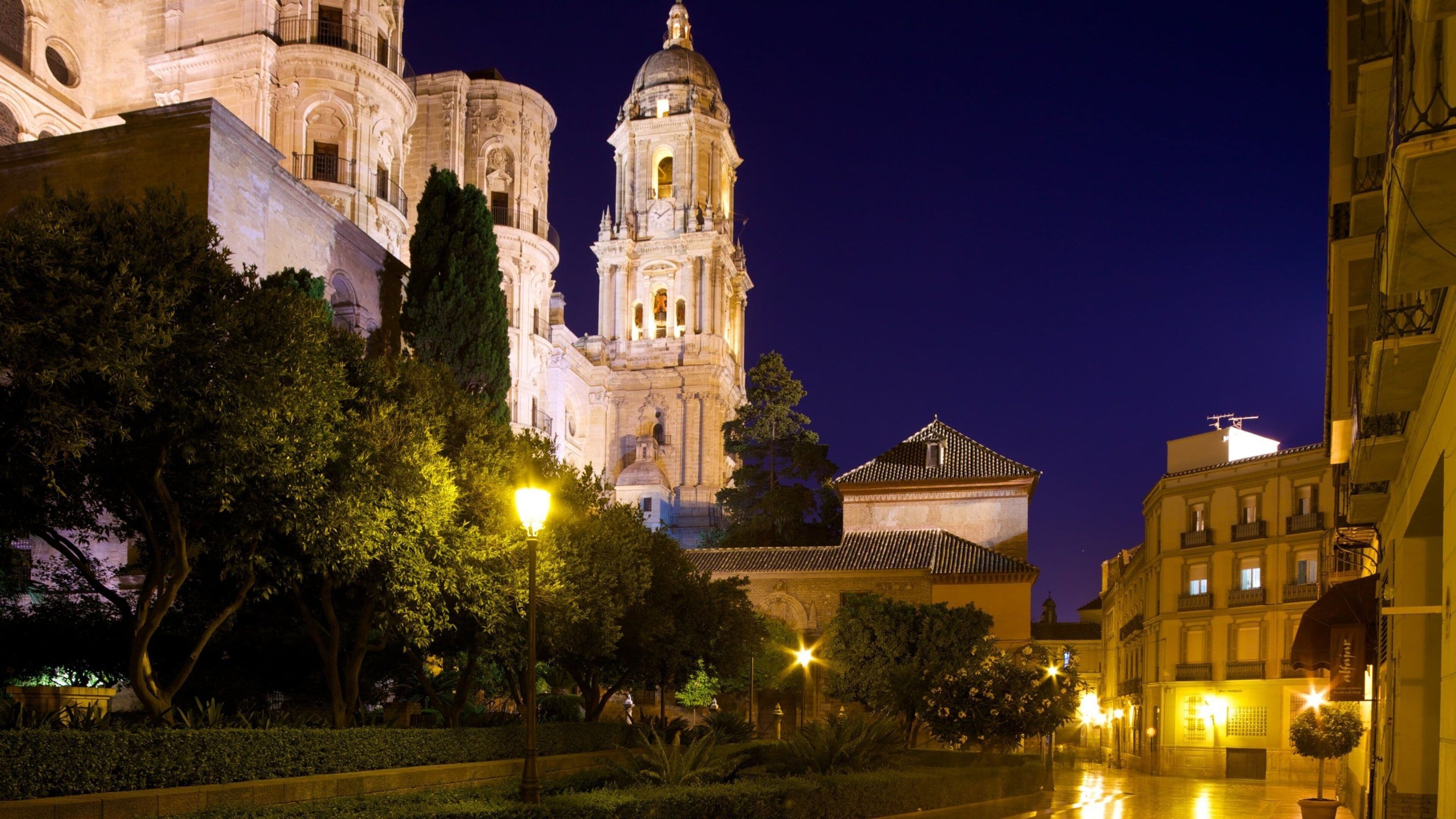 A historic cathedral with two prominent towers, surrounded by trees and illuminated street lamps.