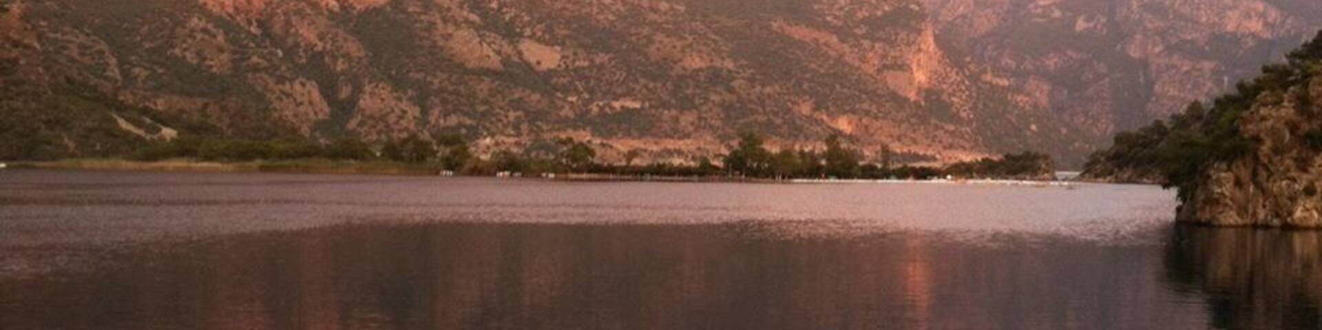 0_35819847-ff82-4eb7-a76f-32259a168a51_raw