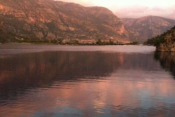 0_35819847-ff82-4eb7-a76f-32259a168a51_raw