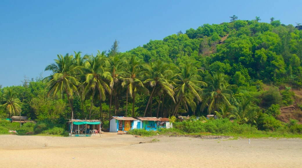 Querim Beach which includes tropical scenes, general coastal views and a sandy beach