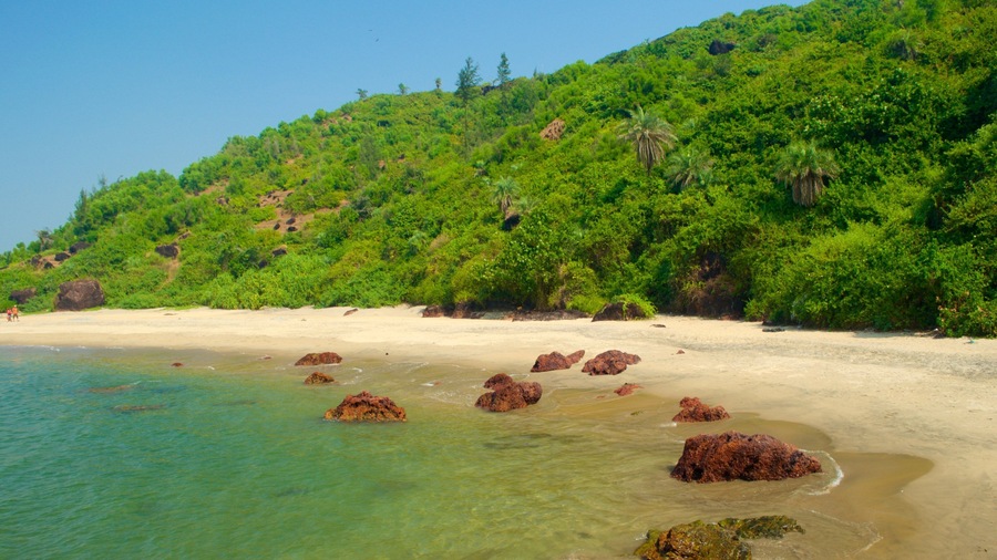 Querim Beach featuring tropical scenes, general coastal views and a beach