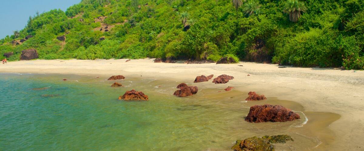 A beach with clear turquoise water, sandy shore, and a hill covered with dense green vegetation.