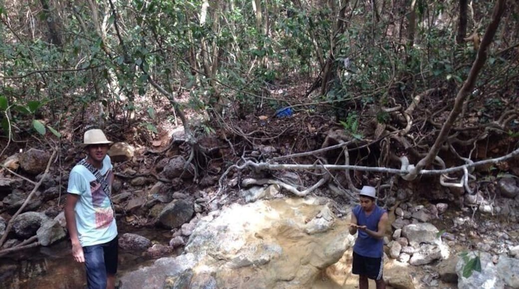 Right next to the sweet water lake there is a path which leads deep into the forested area of the hill. After trekking for few hundreds meters you will come across the natural store house of Multani mitti. A stream flows right next to it. Apply the natural face pack and enjoy your surrounding.