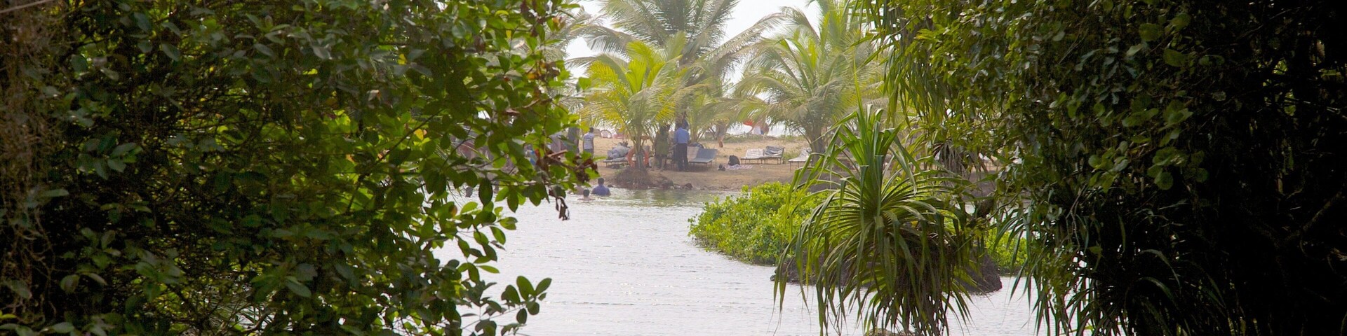 Lago Arambol Sweet Water mostrando um lago ou charco