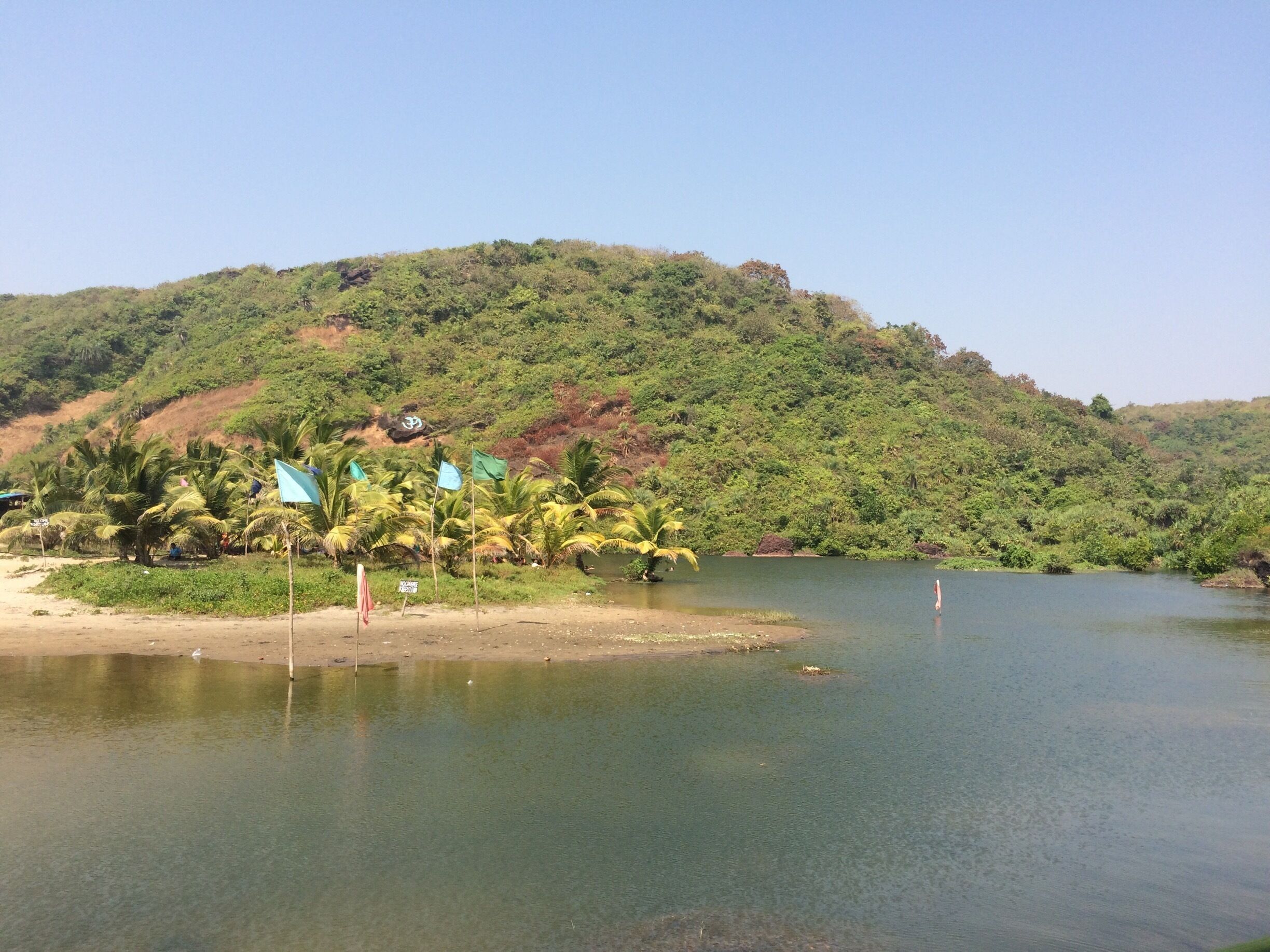 A calm lake surrounded by lush greenery and palm trees.