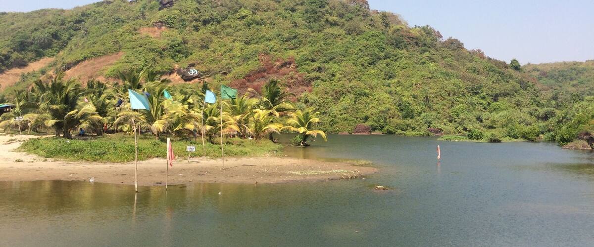 A calm lake surrounded by lush greenery and palm trees.