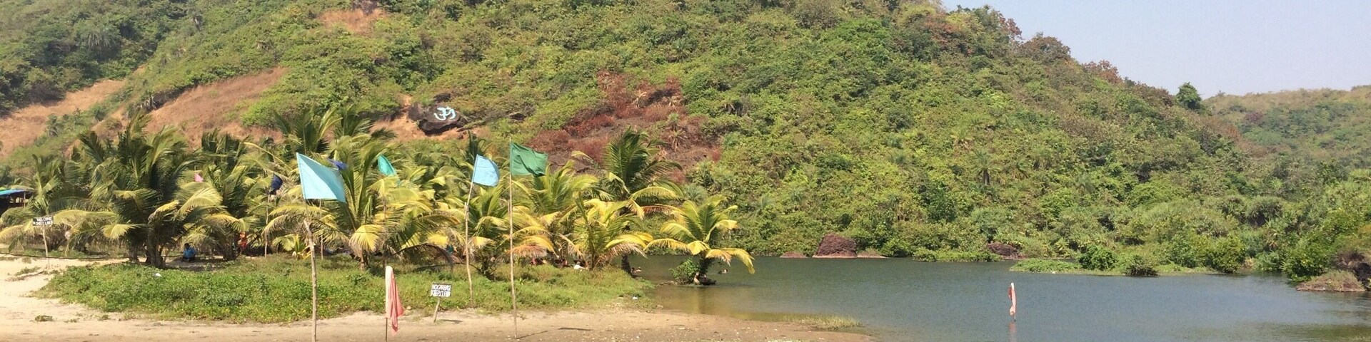 A calm lake surrounded by lush greenery and palm trees.