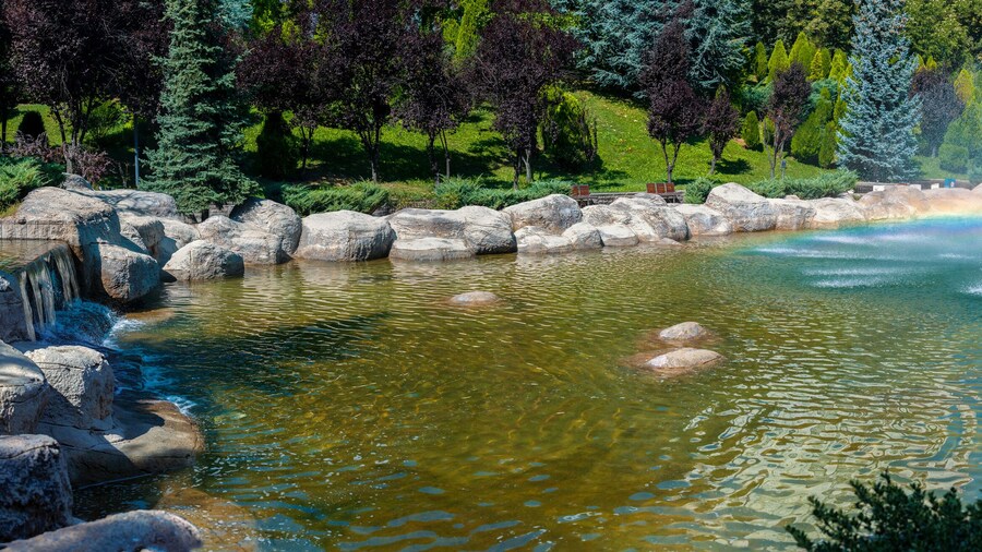 ディクメン ヴァーディシ パーク