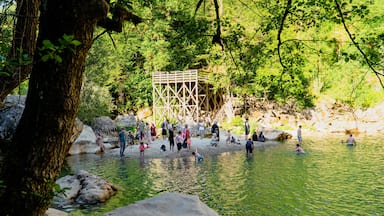 A wooden structure in a forested area with a group of people around a clear water body.