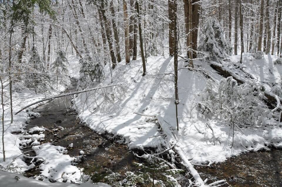 The woods are lovely, dark and deep,   
But I have promises to keep,   
And miles to go before I sleep,   
And miles to go before I sleep.