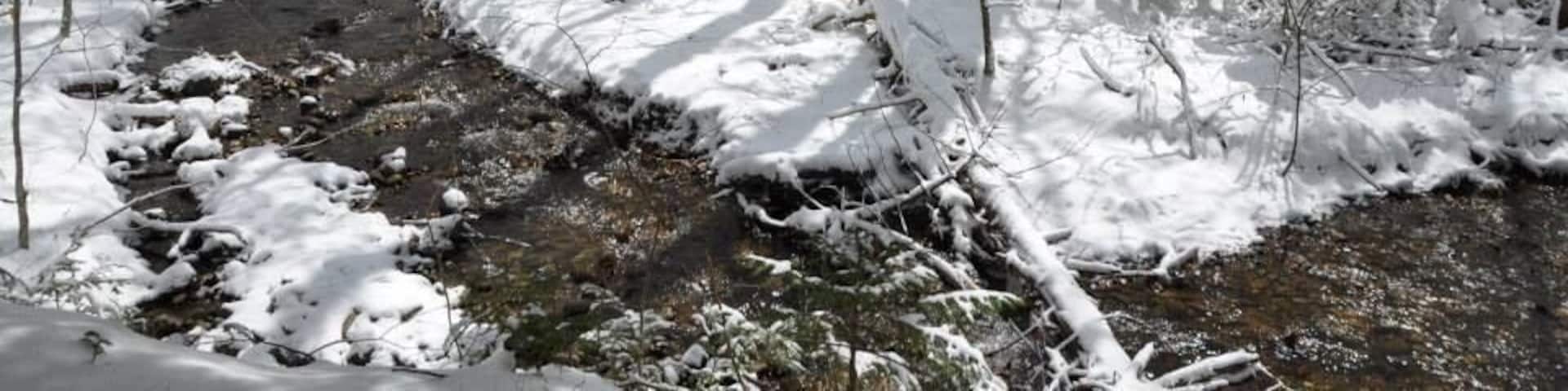 The woods are lovely, dark and deep,
But I have promises to keep,
And miles to go before I sleep,
And miles to go before I sleep.