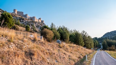 Uma estrada que leva a um castelo histórico numa colina, rodeado por relva seca e árvores.