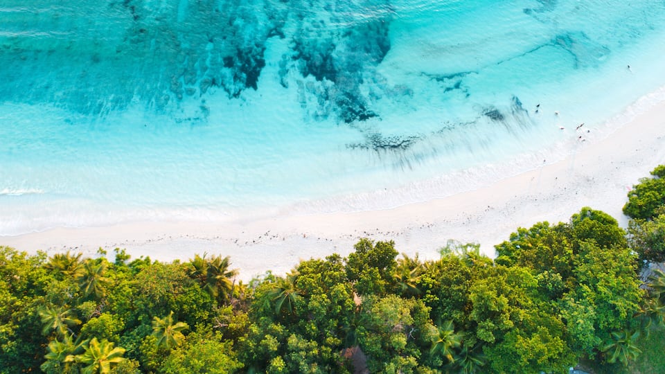 A turquoise ocean with white sand beaches and dense green foliage.