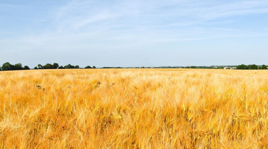 French countryside to the village of La Pommeraye