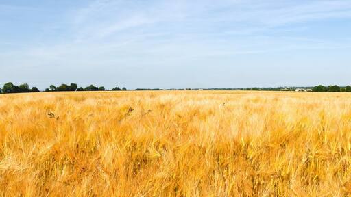 French countryside to the village of La Pommeraye
