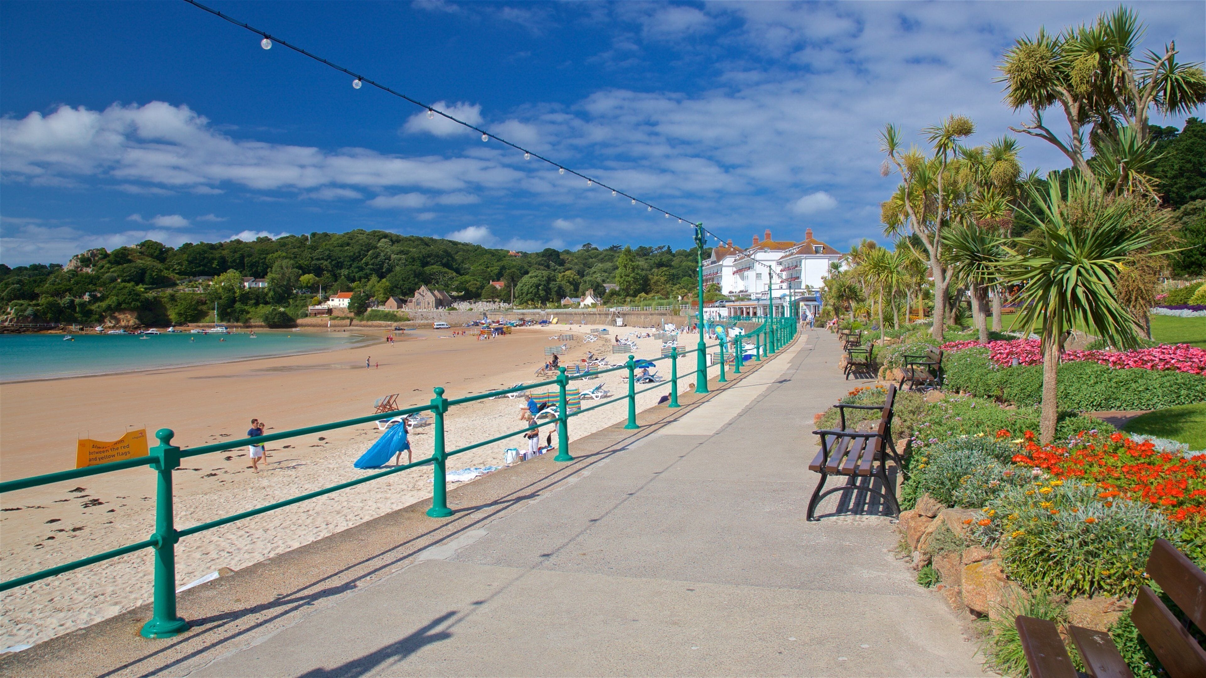 St Brelade\'s Bay Beach showing a beach, general coastal views and flowers