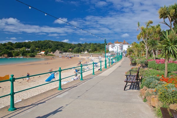 Plage St Brelade\'s Bay montrant vues littorales, fleurs et fleurs sauvages