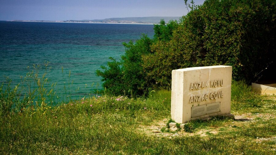 0_bb1cef48-53d4-4fe8-a15e-392c5d0195f5_raw