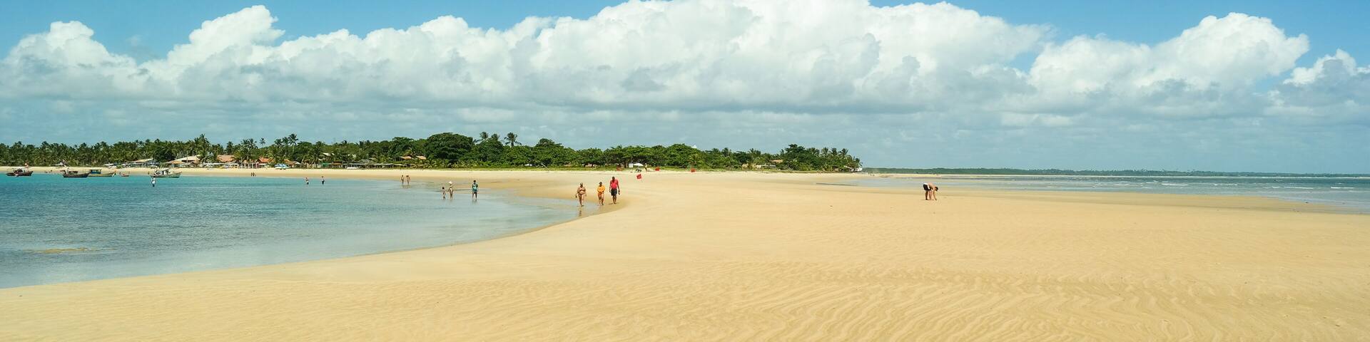 A wide sandy beach with gentle waves, a clear blue sky, and a distant line of trees.