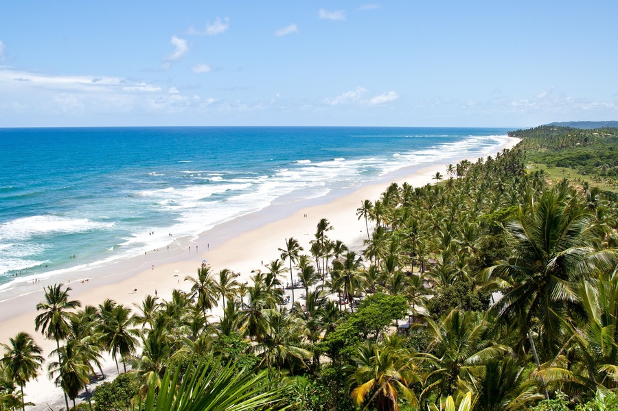 High view of Itacarezinho Beach, ItacarÌÎå©, Bahia, Brazil.