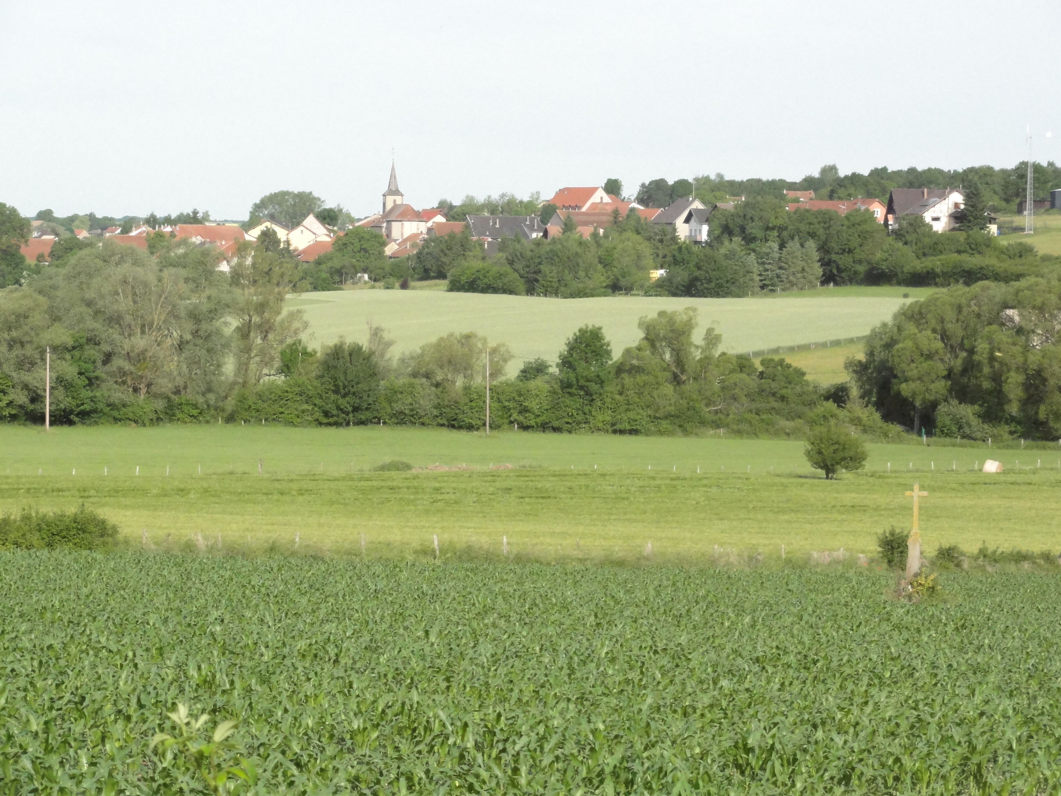 A rural landscape with a church, houses, and a field of crops.