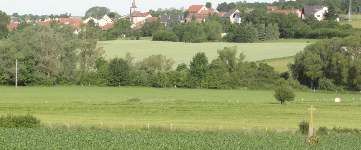 A rural landscape with a church, houses, and a field of crops.