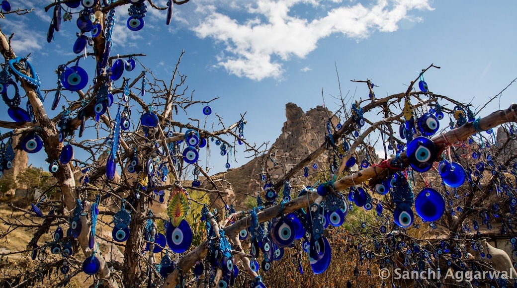 Blue Evil Eye gives peace of mind to Turkish people.. #followme #instagram #turkey #evileye #peaceofmind #peace #tree #sky #cappadocia #ig_cappadocia #natgeo #lonelyplanetturkey #discovery