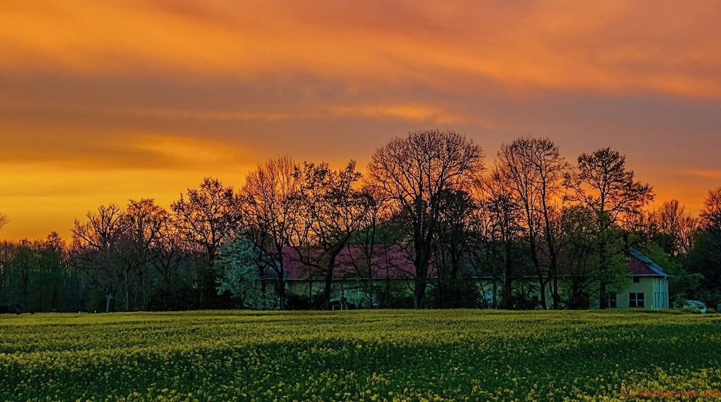 Gründonnerstagabend am Gut Roggenstein in Eichenau, Oberbayern.