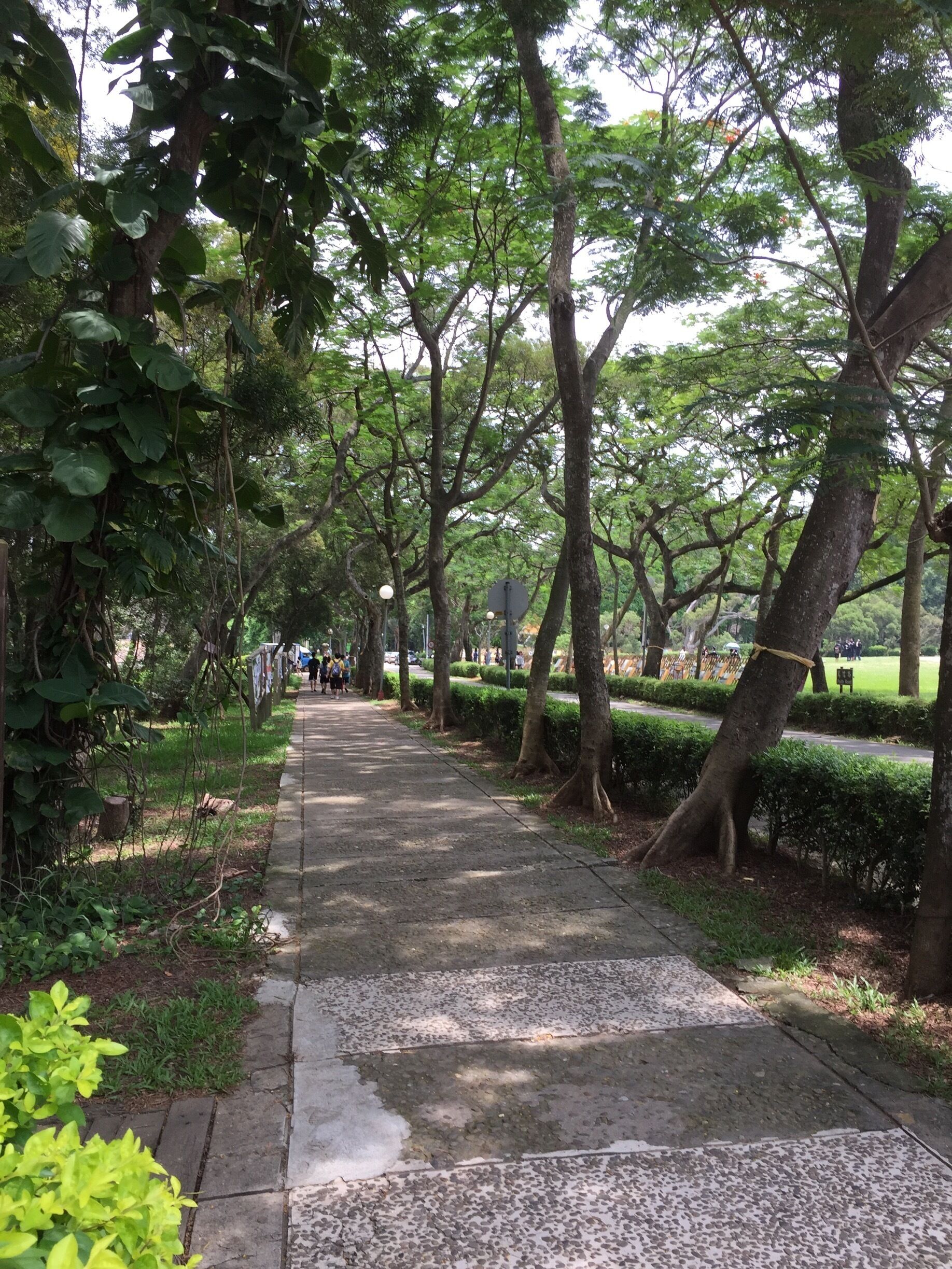 To girl's dormitory in Tunghai University 