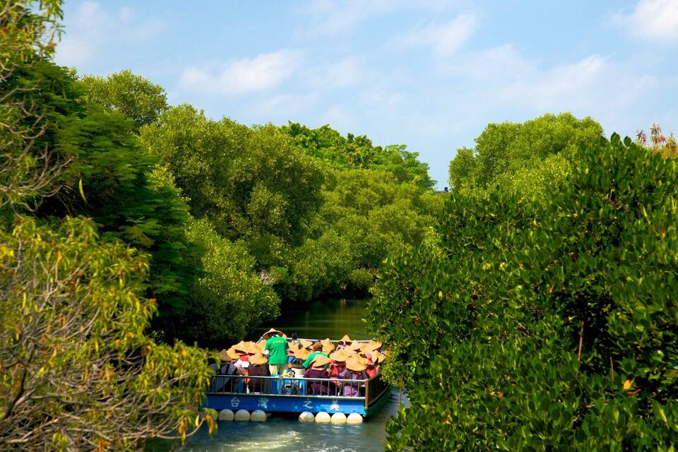 A boat with tourists on a river surrounded by dense greenery.