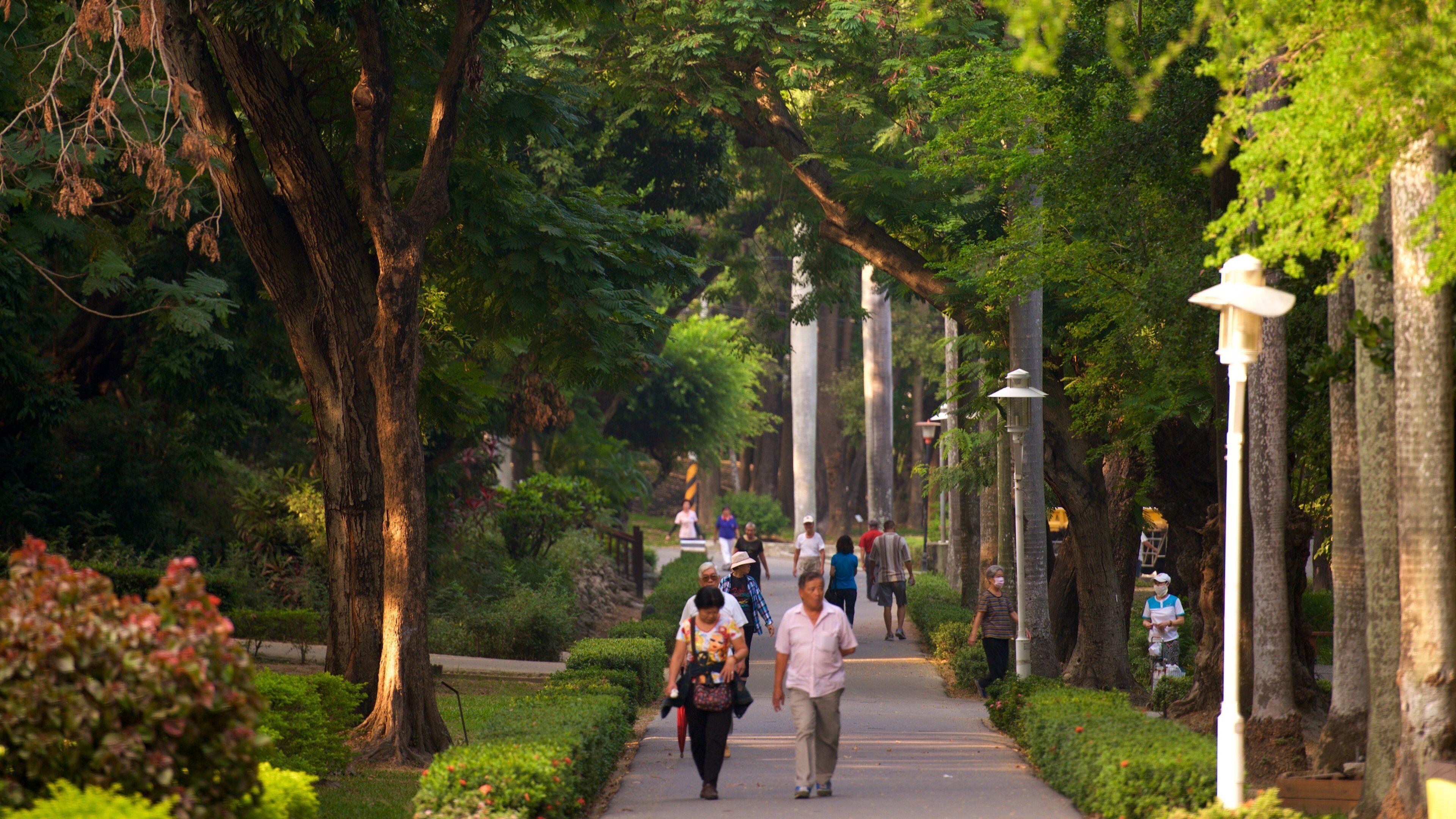 Parque de Tainan que incluye jardín y también un pequeño grupo de personas