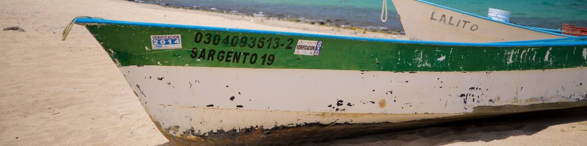 El Sargento showing general coastal views and a beach