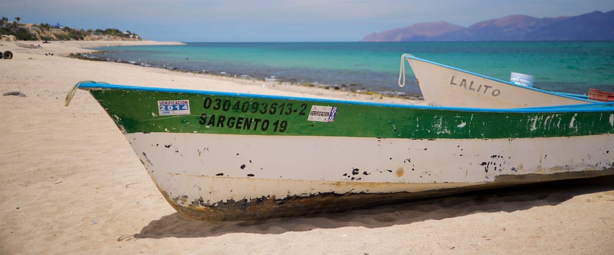 El Sargento showing general coastal views and a beach