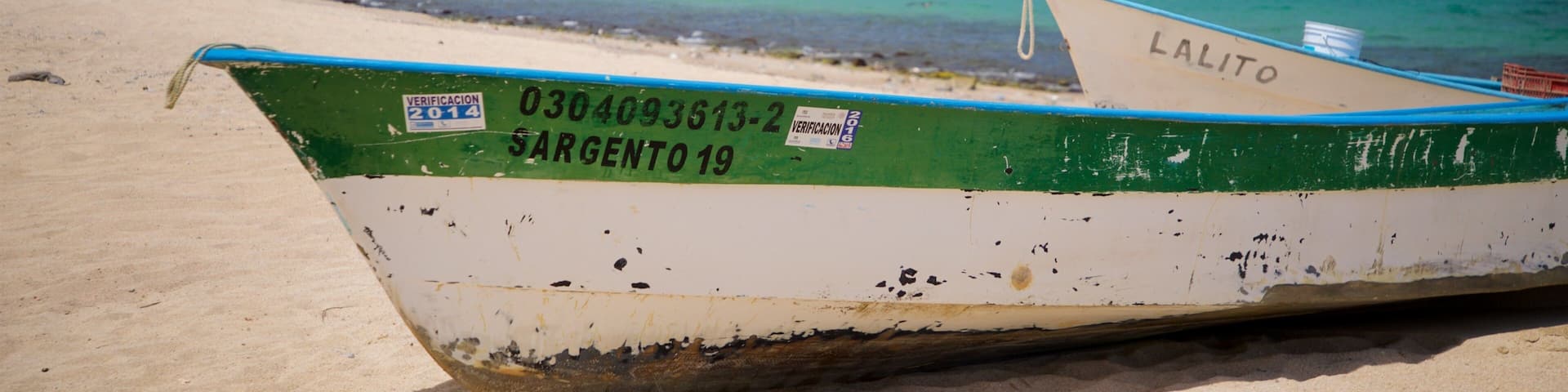 El Sargento showing general coastal views and a beach