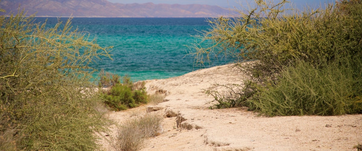 A coastal path leading to a turquoise sea with mountains in the background.