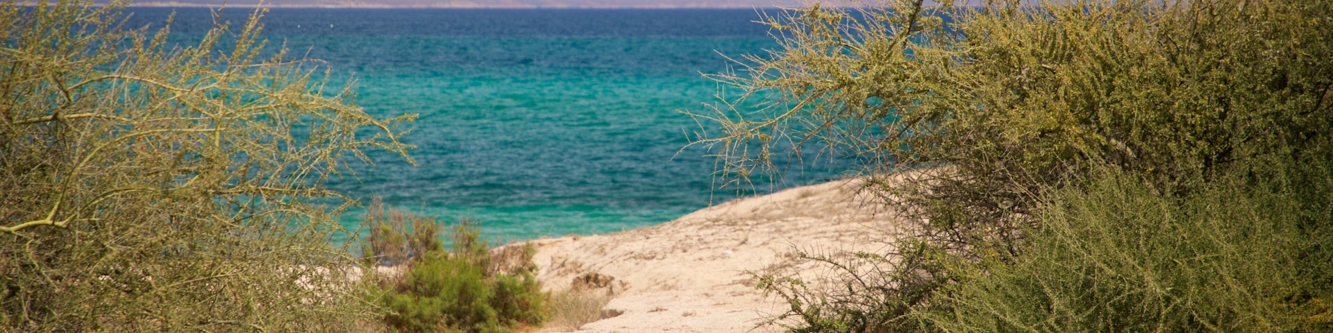 A coastal path leading to a turquoise sea with mountains in the background.