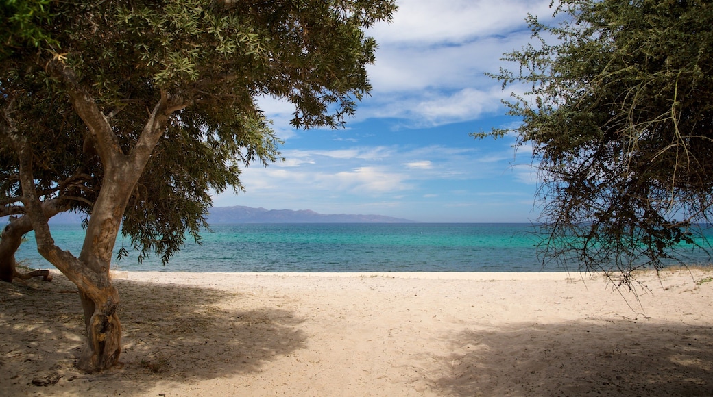 El Sargento which includes a beach and general coastal views