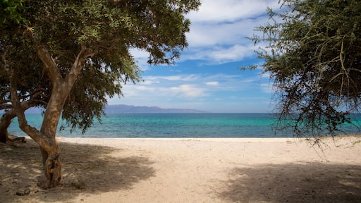 El Sargento which includes a beach and general coastal views