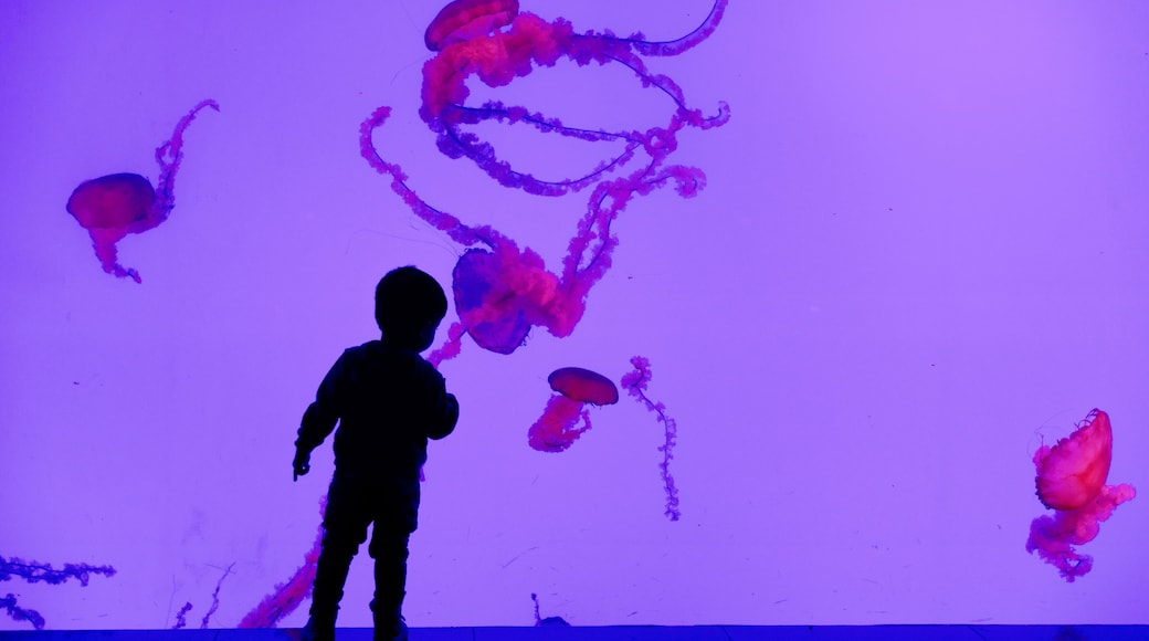 Ripley's Aquarium of Canada