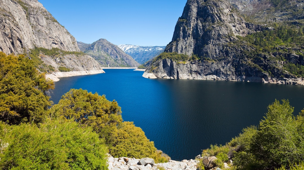 Hetch Hetchy Landscape