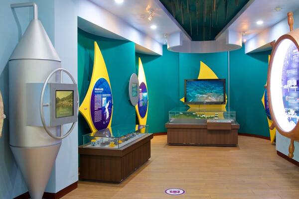 Tongyeong Fisheries Science Museum showing interior views