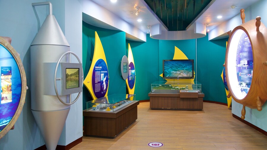 Tongyeong Fisheries Science Museum showing interior views