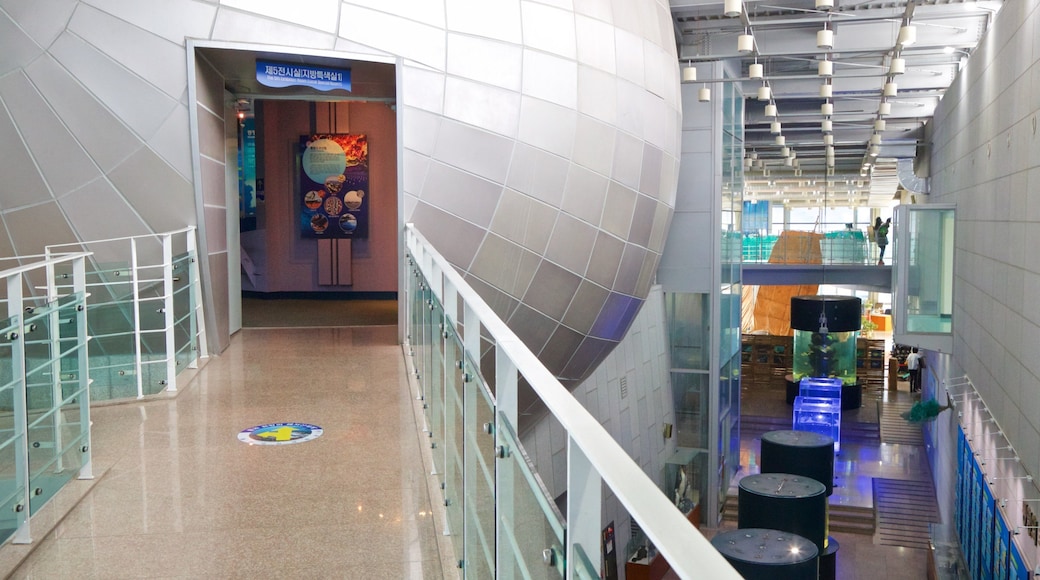 Tongyeong Fisheries Science Museum showing interior views